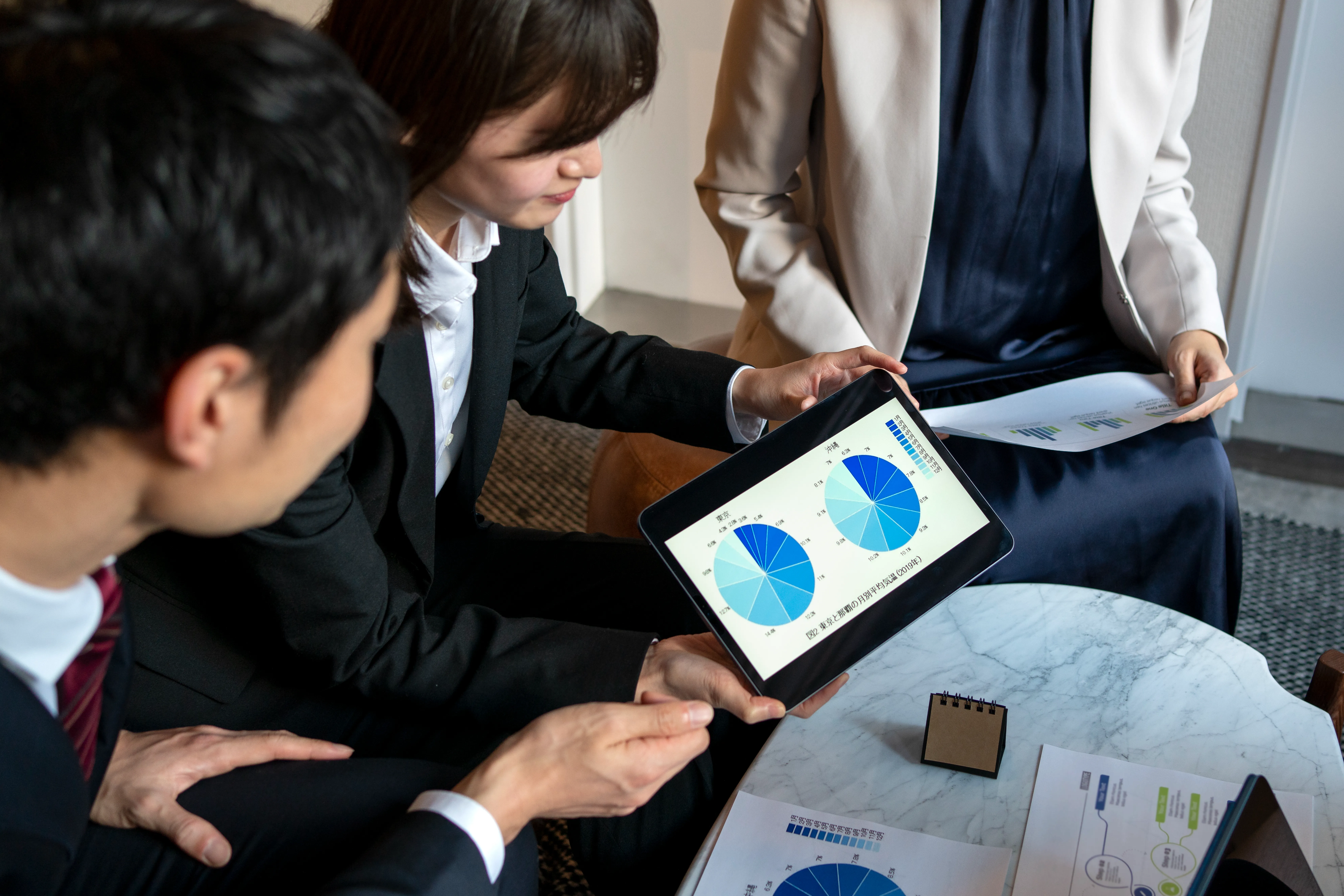 Investor Evaluating a Company