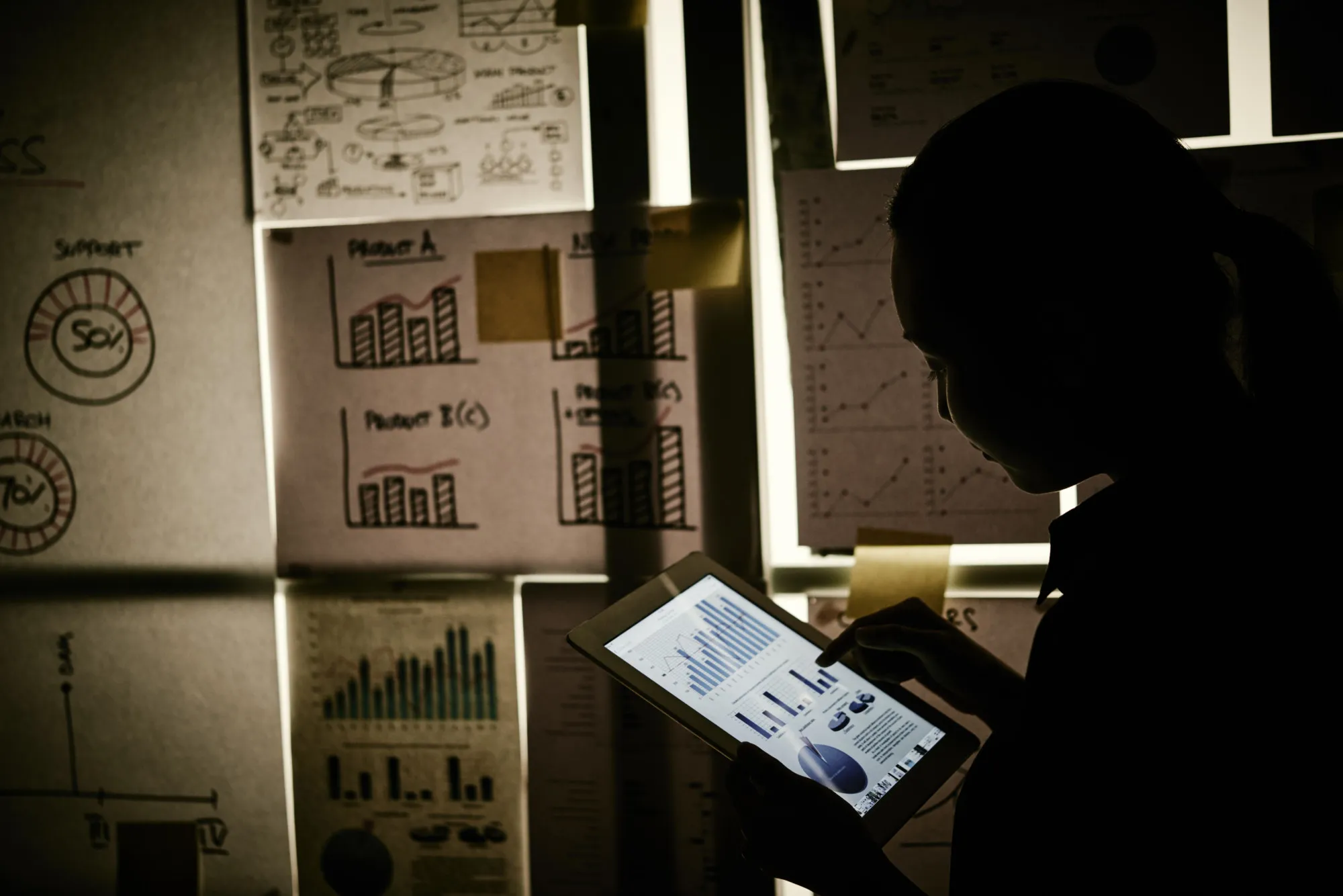Insights
